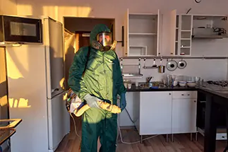 Дезинфекция клопов на кухне