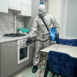 Дезинфектор в защите обрабатывает кухонную поверхность и духовку