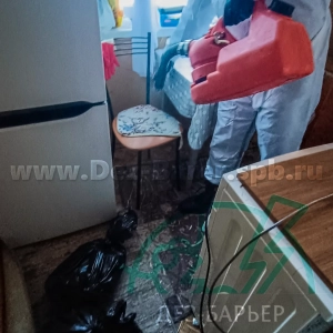 Дезинсектор держит красный распылитель в кухне рядом с холодильником