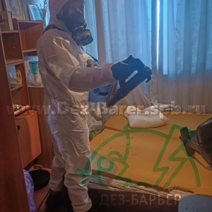Дезинсектор держит распылитель, обрабатывая пространство у матрасов в комнате
