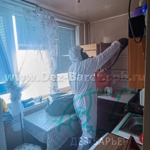 Дезинсектор направляет распылитель внутрь открытого верхнего шкафа