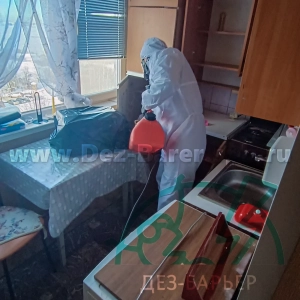 Дезинсектор обрабатывает кухню распылителем с красным бачком