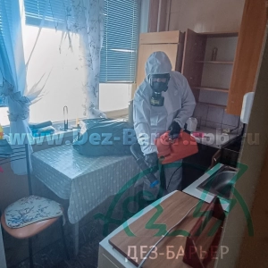 дезинсектор обрабатывает поверхность стола в кухне