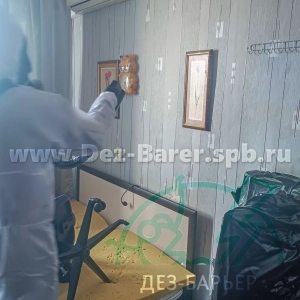 Дезинсектор обрабатывает стену с часами и картиной в комнате