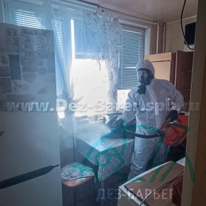 Дезинсектор обрабатывает стул и стол в кухне, рядом — холодильник