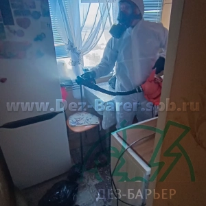 Дезинсектор обрабатывает стол в кухне, рядом — холодильник