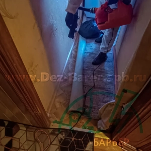 Дезинсектор в коридоре направляет струю распылителя вдоль стены коридора кухни