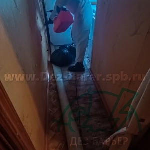 Дезинсектор в коридоре обрабатывает стену у двери кухни, на полу