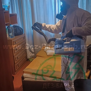 Дезинсектор в респираторе обрабатывает комнату распылителем